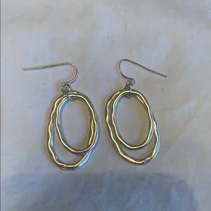 Silver Oval Earrings
